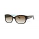  Color - Juicy Couture Sunglasses: Dark Havana Dot / Brown Gradient (0086/Y6)