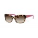  Color - Kate Spade Sunglasses: Camel Tortoise / Brown Gradient (0ESP/Y6)